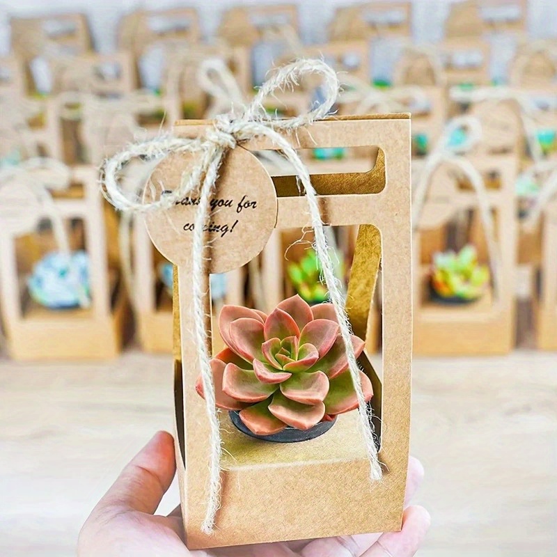 Flower Wrap Kraft - 다육식물 포장 선물 가방 10세트, 빈